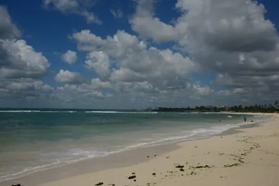 DSC_7654 (Large).JPG